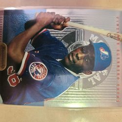 Vladimir Guerrero Baseball Card