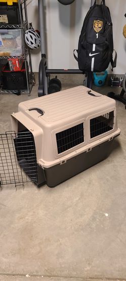 Puppy Training,  Crate And Play Pan Thumbnail