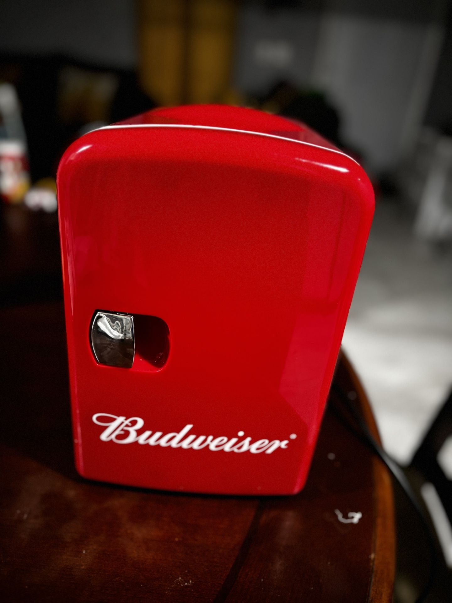 Mini fridge