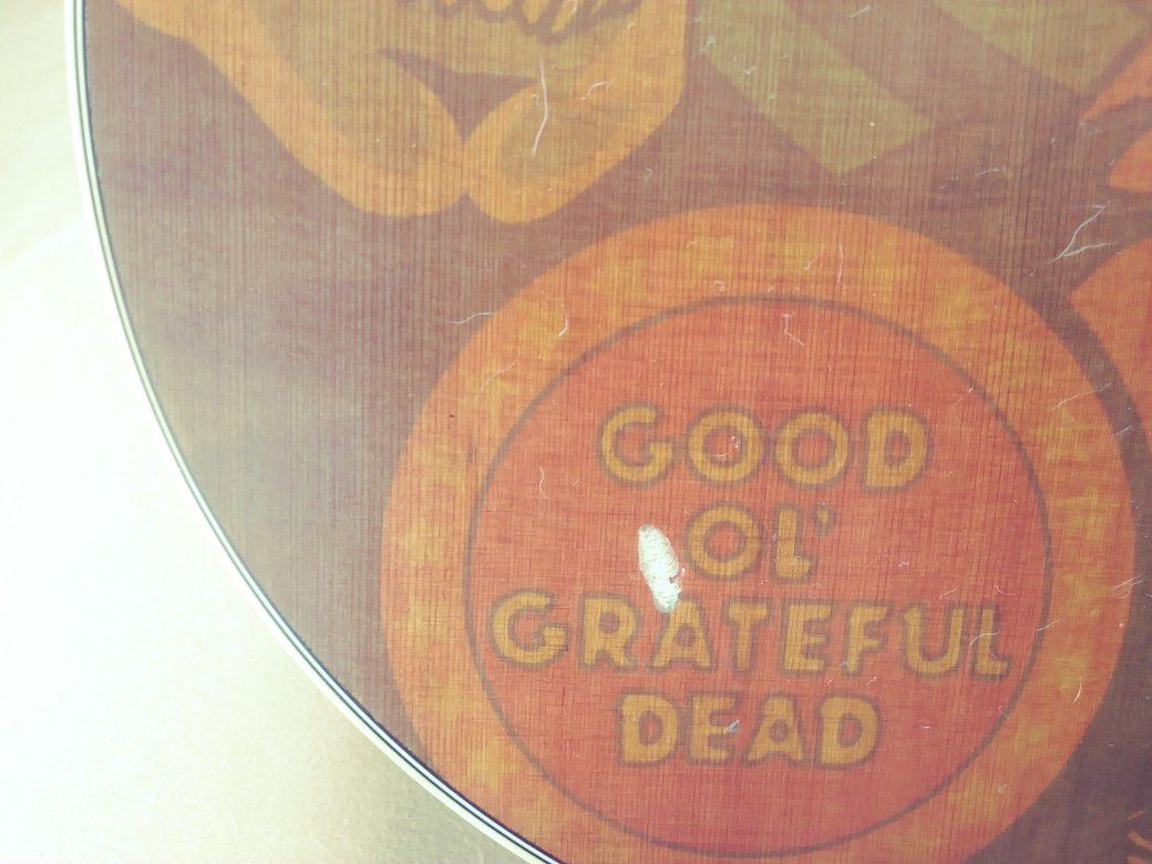 Alvarez Grateful Dead guitar