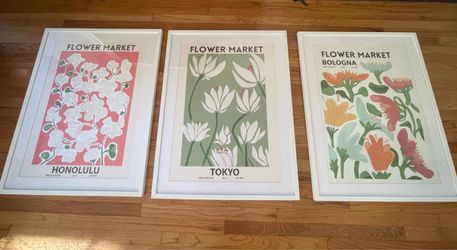 Framed Art Prints