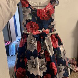 5 Toddler Dresses (size 4–5) 