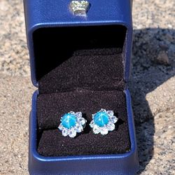 Stainless steel earrings