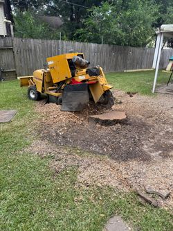 Stump Grinding
