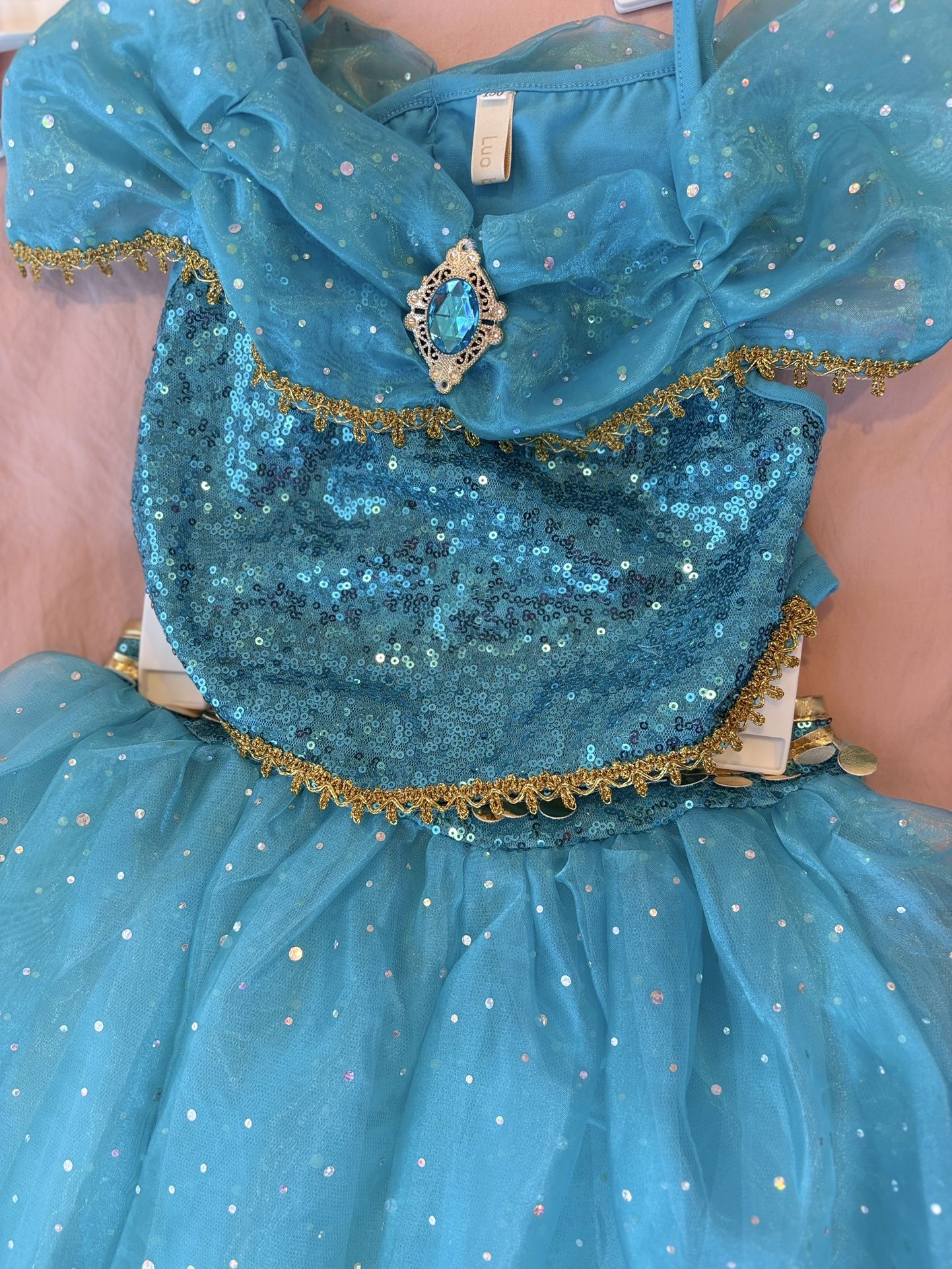 Beautiful Disney Princess costumes β Jasmine and Elsa! β¨