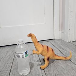 Dinosaur 