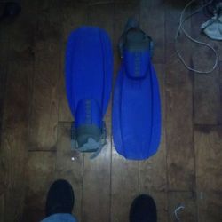 Dacor Fins One Size Fits Most