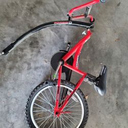 Schwinn Run About Trailer 