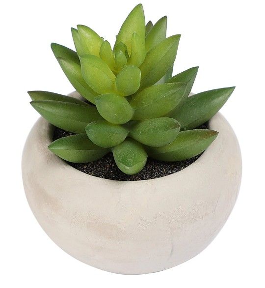 Mainstays Artificial Succulent Plant