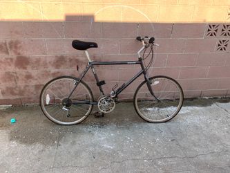 Bici