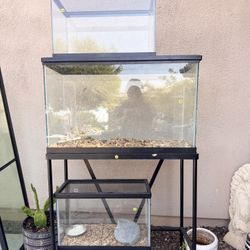 fish tanks