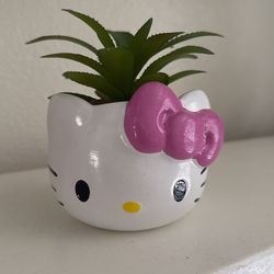 Hello Kitty Plant