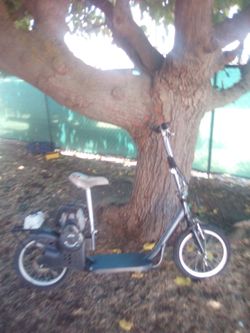 40cc mosquito stinger gas scooter