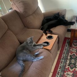 Couch