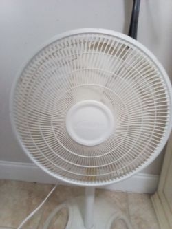 Fan