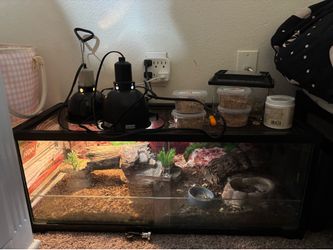 Reptile cage
