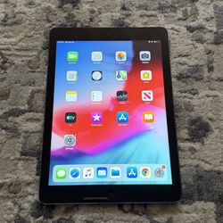Ipad Air 9.7 Inches 1st Gen (32 Gigs)