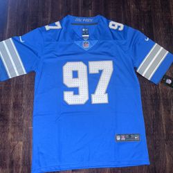 Detroit Lions fan jersey