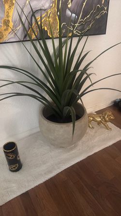 Planter