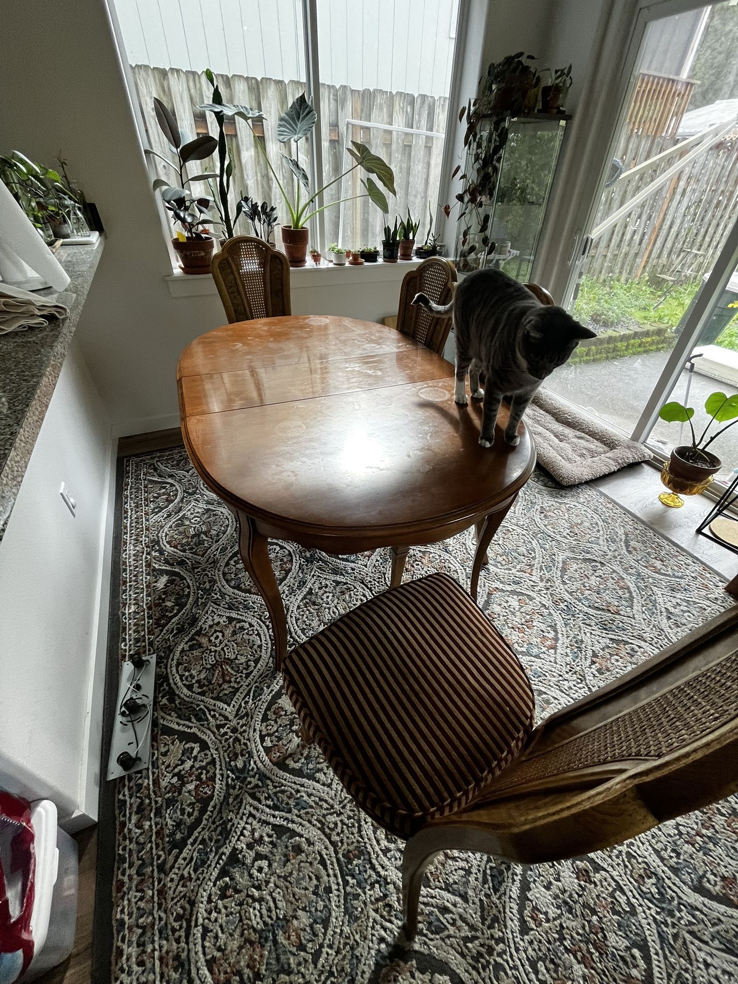 Vintage Dining Room Table Set Chairs 