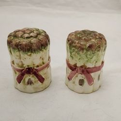 Vintage Ceramic Asparagas Salt And Pepper Shakers Countrycore Cottagecore