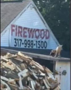 Firewood. Call today, get Firewood Today!