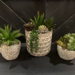 Fake Succulents/ Home Decor 