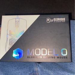 Model O Gaming Mouse 