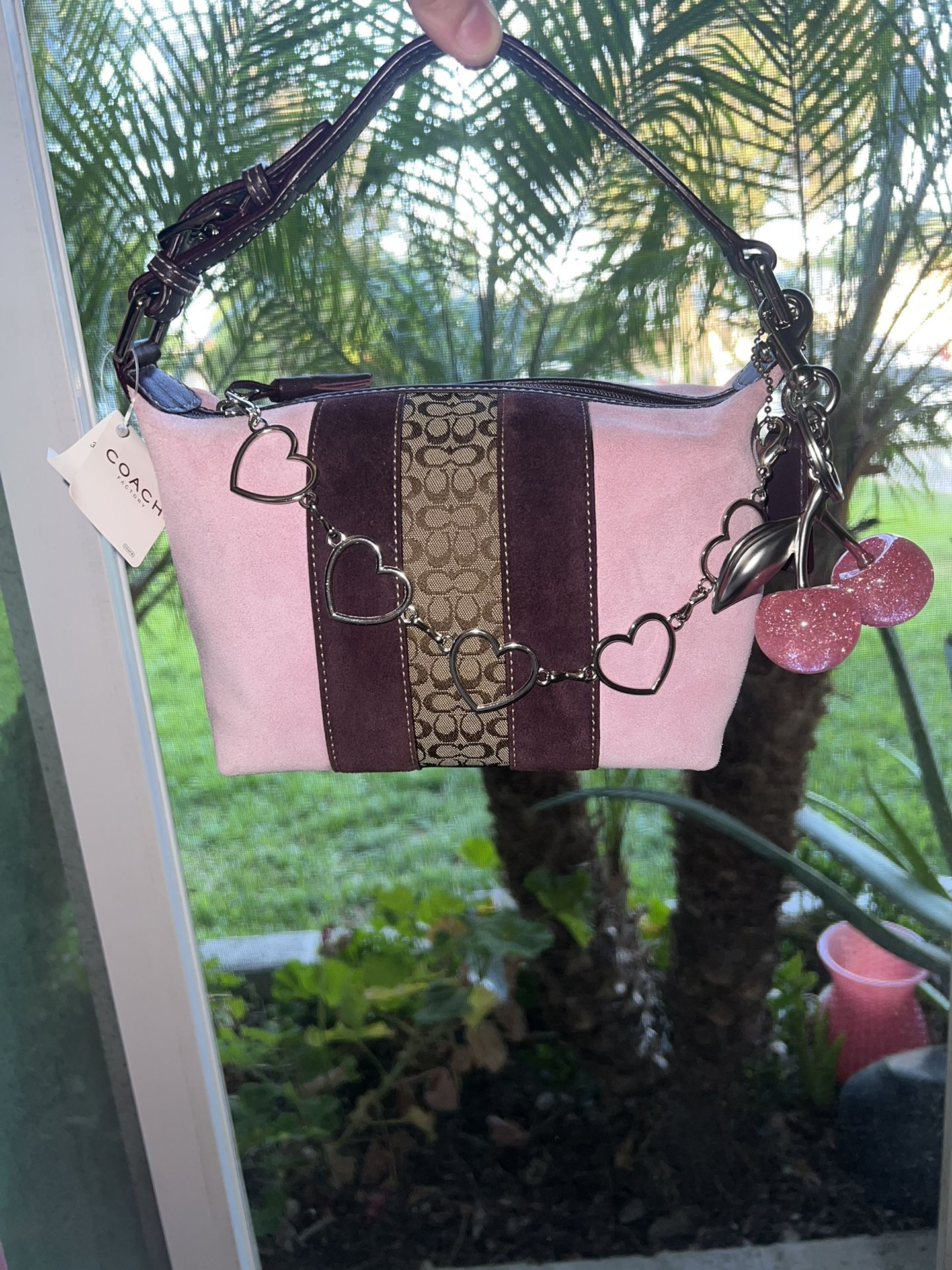 Small Coach Bag