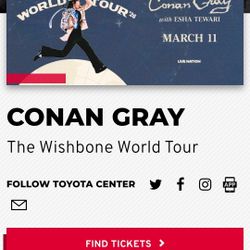 2 Conan Gray Tix