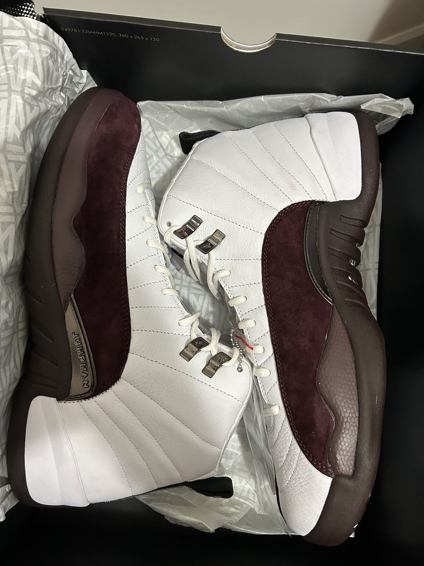 Jordan 12 Amm