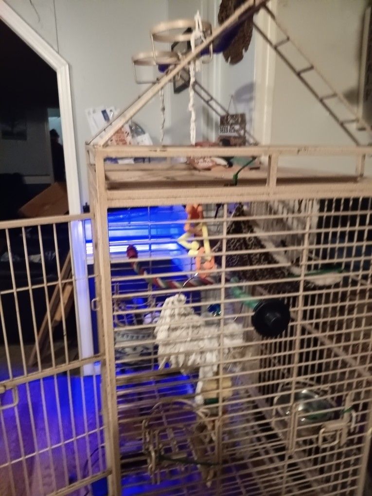Bird Cage