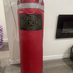 Punching Bag 