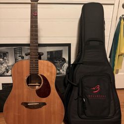 Breedlove AD20/SM Acoustic-Excellent Condition 