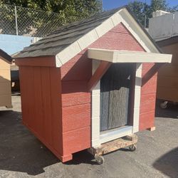 Pet Shelter, Dog House Start AT ;