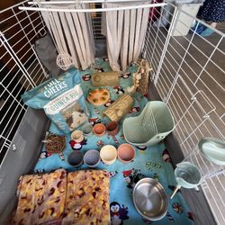 Guinea Pig Supplies 