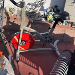 Sunny Cycling Bike