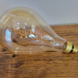 Beautiful Edison Light bulb 