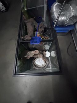 Terrarium