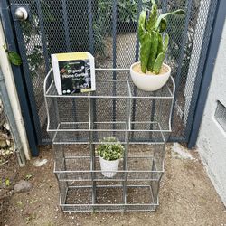 Plant /Succulent Holder 🪴— Really unique! Holds 12+ Plants — AND Organic Seed Kit!! Home & Yard Decor 🌱 🪴 