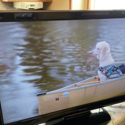 Flat Screen TV