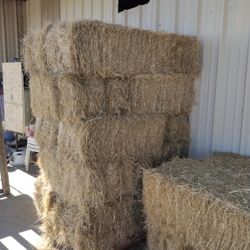 Hay Square Bales 
