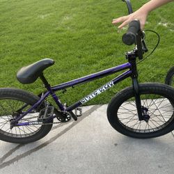 Elite Bmx Carnage Purple 20 Inch