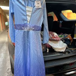 elsa costume 