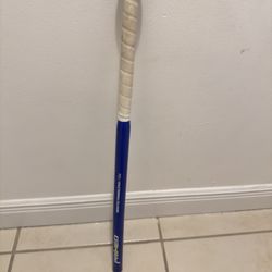 Primed Weighted Training Bat