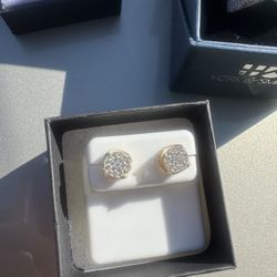 Gold Plated Earrings