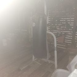 Punching Bag 