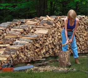 Firewood/ fire wood