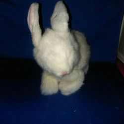Plush Bunny