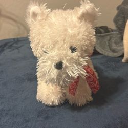 Fluffy dog